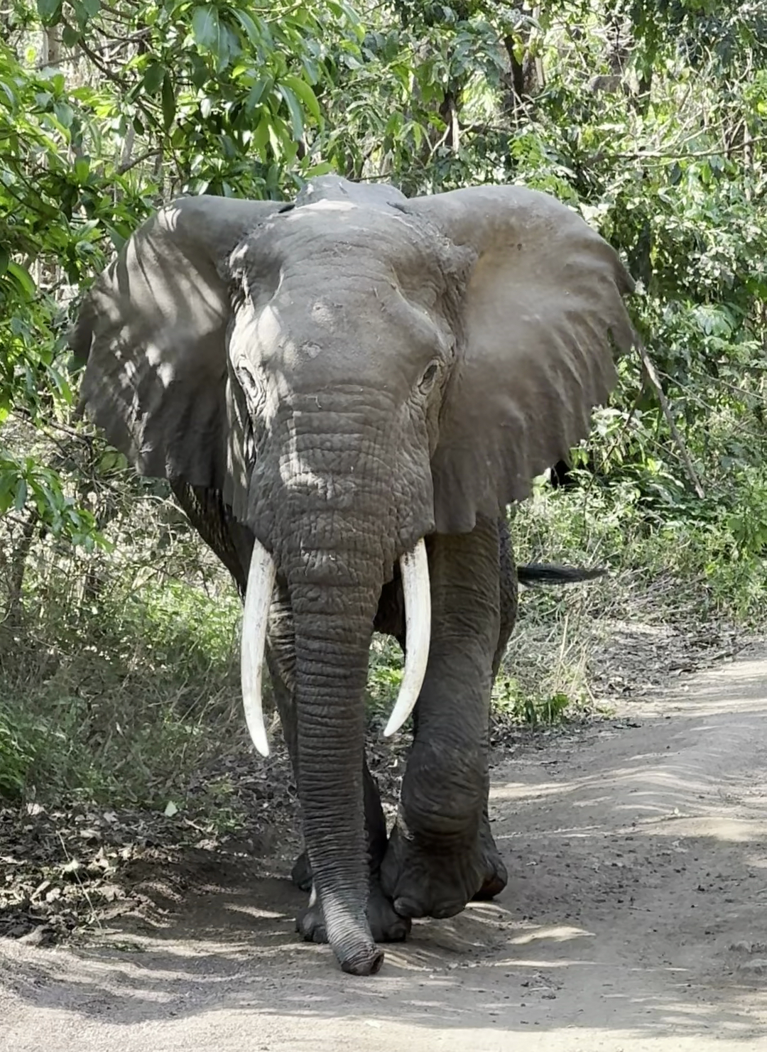 CX-1000/74: MicroMinder - Adjustable Time Delays - Control